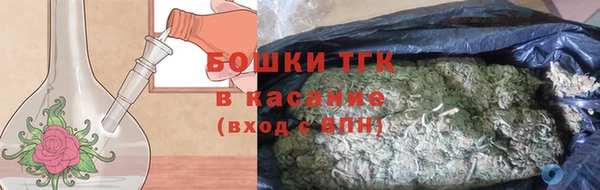 шишки Вяземский
