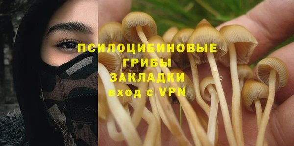 шишки Вяземский