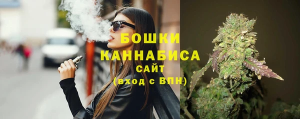 шишки Вяземский