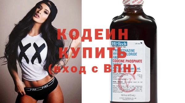 шишки Вяземский