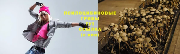 твердый Вязники