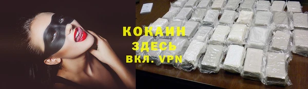 шишки Вяземский