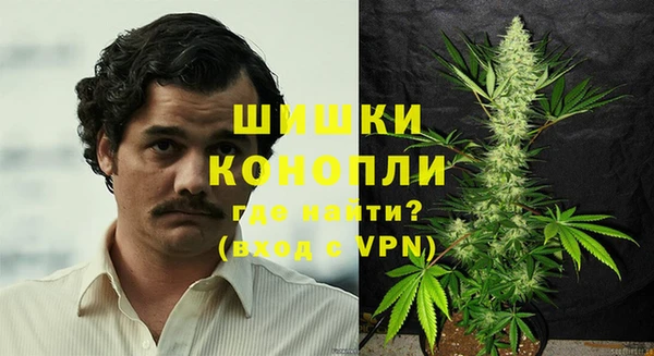прущие грибы Волоколамск
