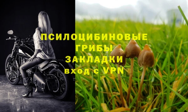 шишки Вяземский
