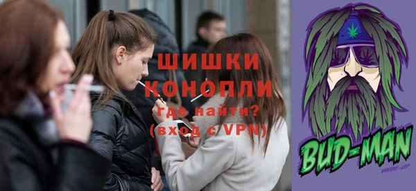 шишки Вяземский