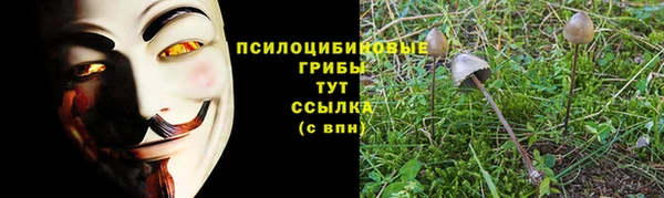 твердый Горно-Алтайск