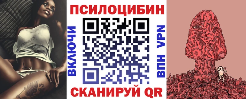 хочу   Заозёрный  Псилоцибиновые грибы Psilocybe 