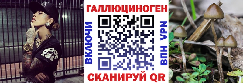Псилоцибиновые грибы Psilocybe Заозёрный